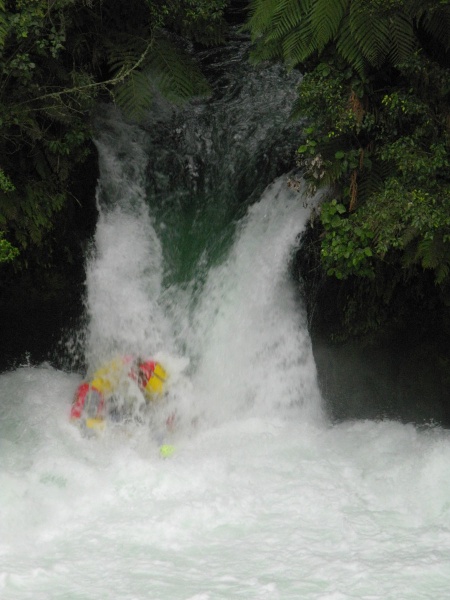 Plik:Kaituna Tutea Falls 550 Raft.jpg