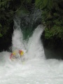 Kaituna Tutea Falls 550 Raft.jpg