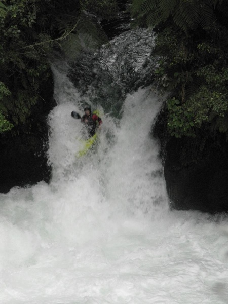 Plik:Kaituna Tutea Falls 550 Topik.jpg