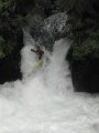 Kaituna Tutea Falls 550 Topik.jpg